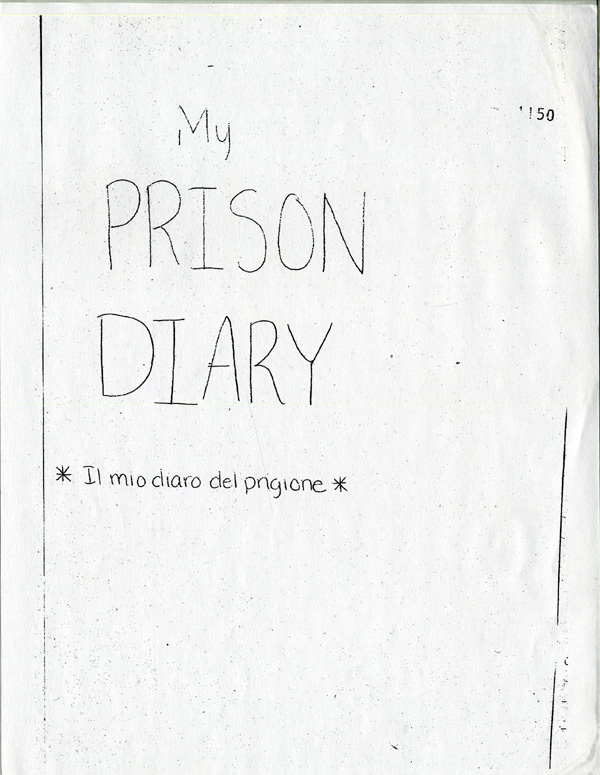 Amanda's Hand Written Diary Pages