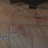 Significant blood transfer on the duvet shows that Meredith was covered when the blood was still wet, not hours later as claimed by the prosecution. This evidence refutes the staging claim.