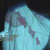 Significant blood transfer on the duvet shows that Meredith was covered when the blood was still wet, not hours later as claimed by the prosecution. This evidence refutes the staging claim.
